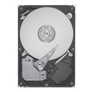 Seagate Barracuda 7200.12 750GB