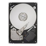 Seagate Barracuda 7200.12 1000GB