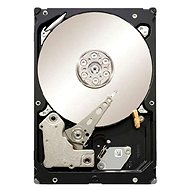 Seagate Constellation ES 1000GB