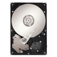 Seagate SV35.5 500GB
