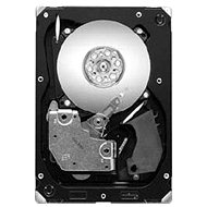 Seagate Cheetah 15K.7 300GB SAS