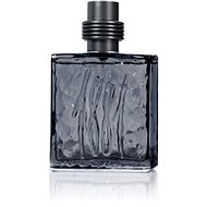 Cerruti 1881 Black 100 ml