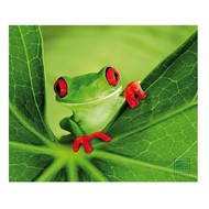 SPEED LINK Silk Mousepad Frog