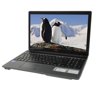 Acer Aspire 5349-B814G50Mnkk černý