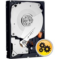 Fujitsu 3.5 "HDD 1000GB, SATA II, 7200ot, non hot plug (S26361-F3334-L100)