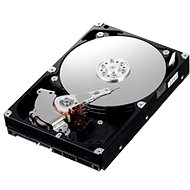 IBM 3.5" HDD 500GB SATA II 7200 ot. Simple-Swap
