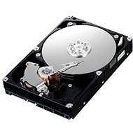 IBM 3.5 "HDD 2000GB SATA II 7200 ot. Simple-Swap