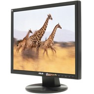 19" ASUS VB195T
