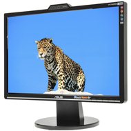 19 "ASUS VK193SE