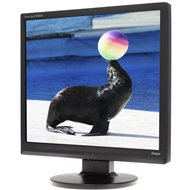 19" iiyama ProLite E1906S-B černý