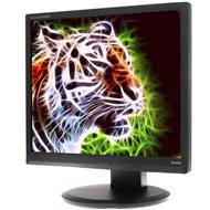 19" iiyama ProLite B1906S-B černý