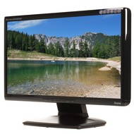 20" iiyama ProLite E2008HDS černý