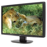 24 "iiyama ProLite E2409HDS čierny