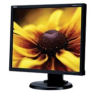 19 "NEC V-Touch 1924 5R