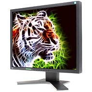 19 "EIZO S1902SH-BK čierny EcoView