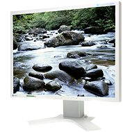21 "EIZO S2100