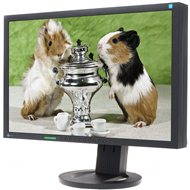 22 "EIZO S2243WFS-BK EcoView