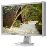 22 "EIZO S2243WFS-GY EcoView