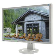 24 "EIZO S2402WFS-GY EcoView