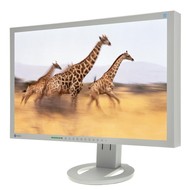 24 "EIZO S2433WFS-GY EcoView