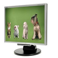 17 "NEC MultiSync 175M čierny