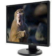 19 "NEC MultiSync LED EA192M čierny