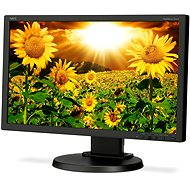 20 "NEC MultiSync E201W čierny