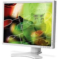 20 "NEC MultiSync 2090UXi strieborno-biely
