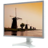 21 "NEC MultiSync 2190UXp bielo - strieborný