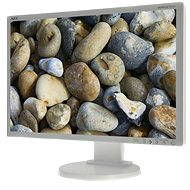 22 "NEC MultiSync LCD E222W strieborný