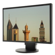 22 "NEC MultiSync LCD EA221WMe čierny
