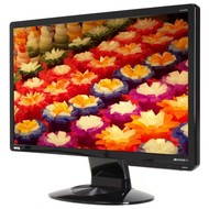 21.5 "BenQ G2222HDL