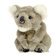 Alive Koala Joey