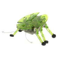 HEXBUG Ploštice zelená