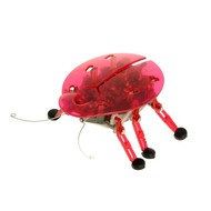 HEXBUG Ploštice červená