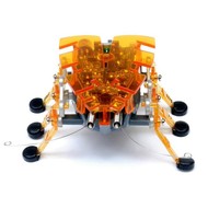 HEXBUG Ploštice oranžová