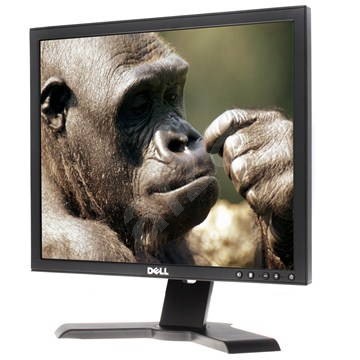 19" Dell P190S